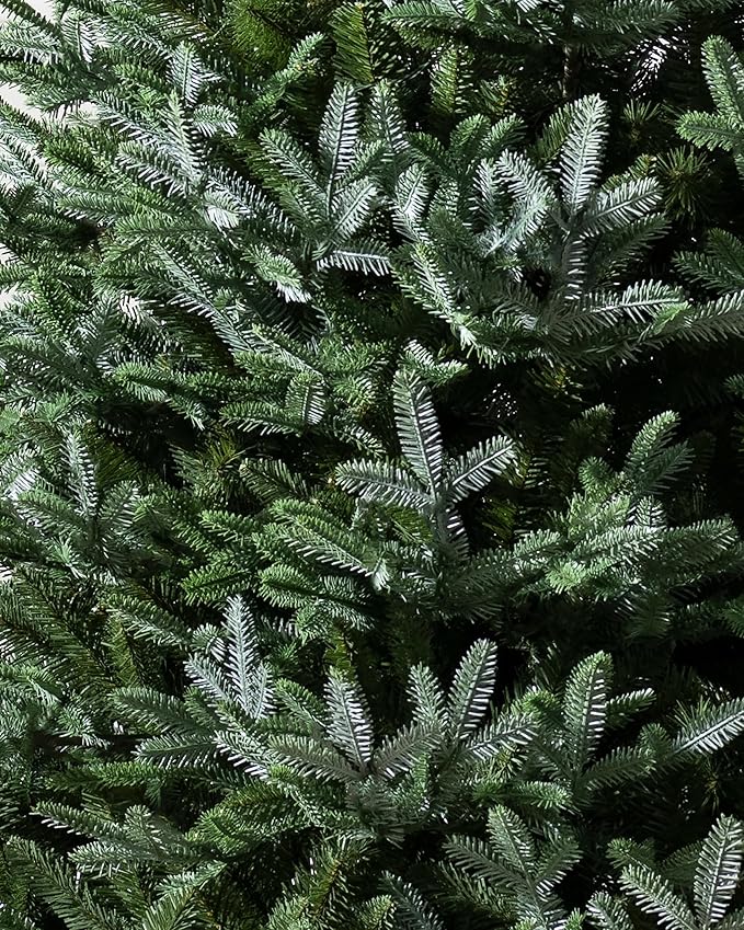 Balsam Hill European Silver Fir - Elegant Artificial Christmas Tree with True Needle Foliage Available Unlit or with LED Clear Lights, Unlit, 8'
