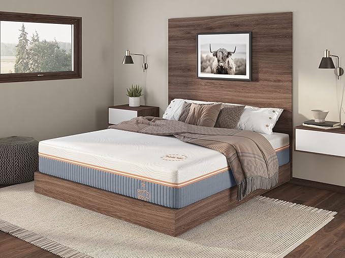 Nest & Wild Mattress Plush 12 Inch | Made in The USA | 100% Fiberglass-Free Cool Touch Cover | Ventilated Memory Foam | Bed in a Box | CertiPUR-US & OEKO-TEX100 Certified Foams (King)