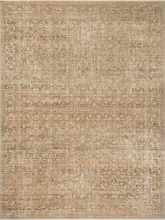 Loloi Amber Lewis Molly Collection MOL-08 Antique/Multi 5'-3" x 7'-9" Low Pile Area Rug