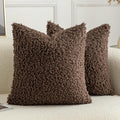 Pack of 2 Curly Teddy Wool Faux Fur Throw Pillow Covers Fuzzy Accent Soft Sherpa Pillowcases Sheepskin Fleece Decorative Cushion Case for Sofa Couch Living Room 22x22 Inch Chocolate