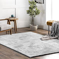 nuLOOM 4' x 6' Cozy Plush SuperiorWash Area Rug, Machine Washable, Non-Slip, Soft Fluffy Shag Carpet for Living Room Bedroom Kids Room Nursery Home Decor, Loni Light Grey
