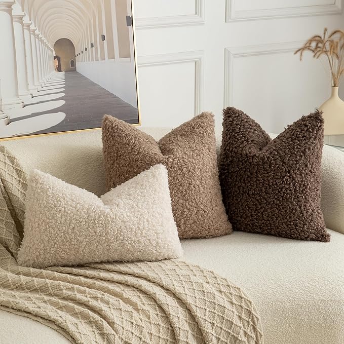 Pack of 2 Curly Teddy Wool Faux Fur Throw Pillow Covers Fuzzy Accent Soft Sherpa Pillowcases Sheepskin Fleece Decorative Cushion Case for Sofa Couch Living Room 22x22 Inch Black