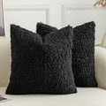 Pack of 2 Curly Teddy Wool Faux Fur Throw Pillow Covers Fuzzy Accent Soft Sherpa Pillowcases Sheepskin Fleece Decorative Cushion Case for Sofa Couch Living Room 26x26 Inch Black