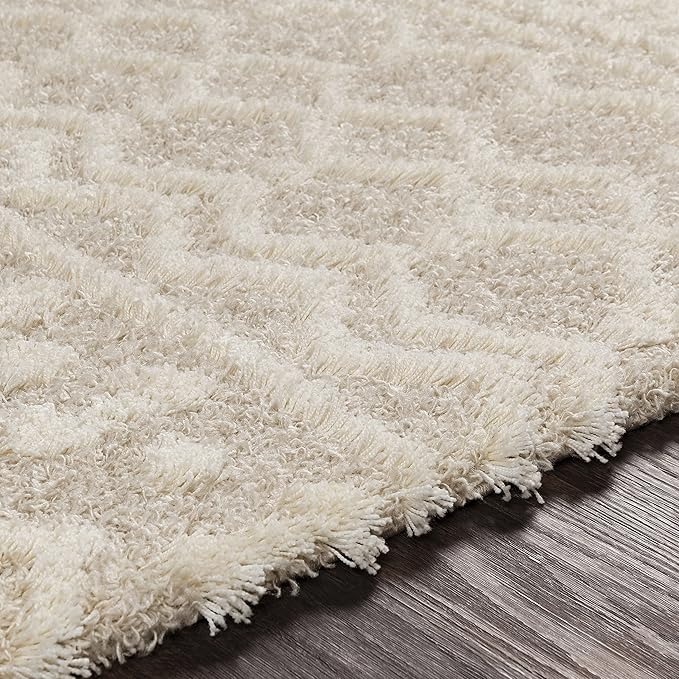 Livabliss Hapsburg Moroccan Shag Runner Area Rug,2'7" x 10',Beige