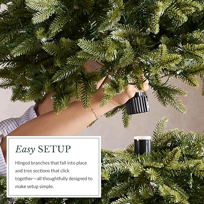 Balsam Hill European Silver Fir - Elegant Artificial Christmas Tree with True Needle Foliage Available Unlit or with LED Clear Lights, Unlit, 7'