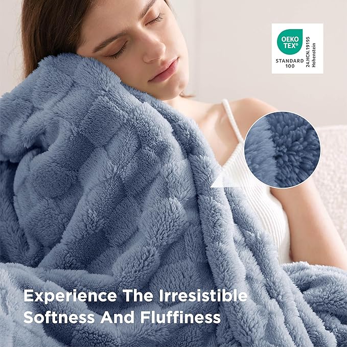 Bedsure GentleSoft Twin Blanket for Bed Ashley Blue - Super Soft Cozy Blankets for Women Men Girls, Cute Fuzzy Fleece Throws for Bedroom Couch, 60x80 Inches
