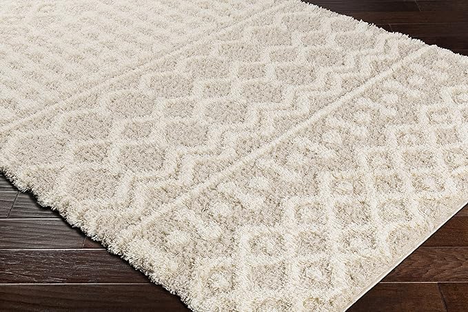 Livabliss Hapsburg Moroccan Shag Runner Area Rug,2'7" x 10',Beige