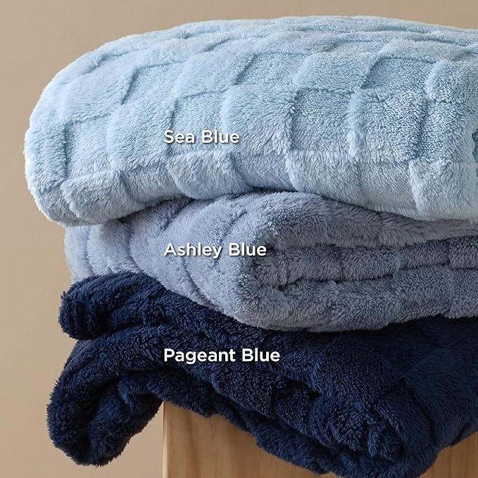 Bedsure GentleSoft Light Blue Throw Blanket for Couch - Checkered Fleece Blankets Gifts for Women Men Girls, Cute Soft Cozy Throw for Bedroom Home Decor Gifts, 50x60 Inches