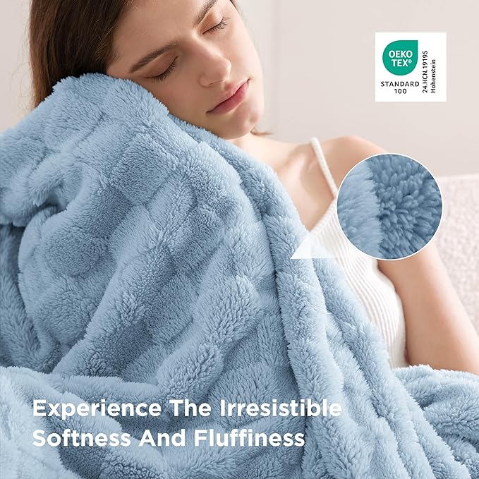 Bedsure GentleSoft Light Blue Throw Blanket for Couch - Super Soft Cozy Blankets Gifts for Women Men Girls, Cute Small Fleece Throws for Bedroom Home Decor, 50x70 Inches