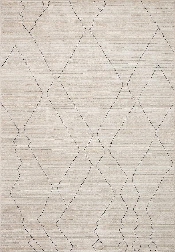 Loloi Darby Collection DAR-03 Sand/Charcoal 2'-7" x 12'-0" Runner Rug